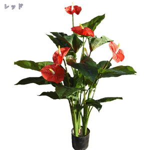 2000~OFFN[| lHϗA A ^ tFCNϗtA A  CeA X GgX c  ItBX Ή E  ze [ JXj JƏj t