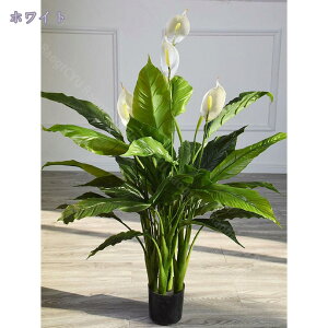 1000~OFFN[| tFCNO[  tFCNϗtA lHϗtA ^  rO p[e[V ϗt  e[u j JX JƏj Vv A sv 