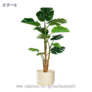 lHϗtA tFCNO[ tFCNϗtA ^ CeA  rO p[e[V  ze [ j JXjJƏj lHϗtA ^ 傫 tFCN