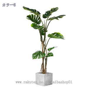 2000~OFFN[| tFCNO[ lHϗtA ^ CeA  rO ItBX   lHϗtA  CeAO[ ϗtA 킢  Q Mъϗt 