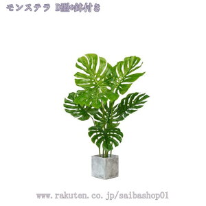 300~OFFN[| tFCNO[ [J lHϗtA ϗt A A CeA ^   lHϗt j sv ͂Ȃ p rO[ Q  ItBX