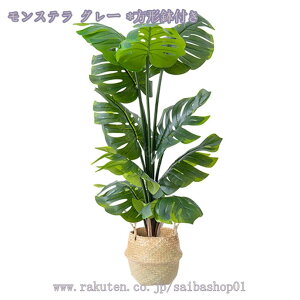 tFCNO[ lHϗtA ϗt  K̖  ItBX  z[ x_ GgX A tFCNO[ ^ ϗtA A  CeAO[ lHϗt