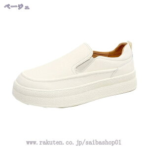 500~OFFN[| amC JWA EH[LO Y fbLV[Y L NbVC\[ E₷ y [JbgXj[J[ Xb| [t@[ ~ AEgh