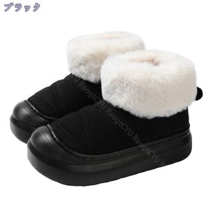 Xm[u[c Vbgu[c fB[Y ~p  hu[c ۉ {A  JWA  ȌC C ʊw ʋ Xm[V[Y u[c fB[X h AEghA EB