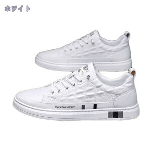 Xb| Y EH[LOV[Y Xj[J[ fbLV[Y n AEghA JWA 傫TCY L [XAbvV[Y ^C WjA ʋ ʊw y ʋC o