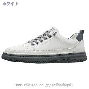 Xj[J[ Y X|[cV[Y jOV[Y tBbglX EH[LO ^   XP[g{[hV[Y fbLV[Y [Jbg ʊw AEghA [XA