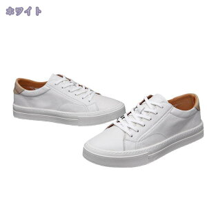 Xj[J[ Y y [Jbg j JWAV[Y [XAbv Xj[J[ ʊw d Vv fbLV[Y ʋC h X|[c U[ EH[LOV[Y 