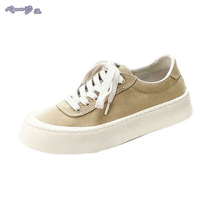 500~OFFN[| X|[cV[Y jOV[Y Xj[J[ W ^C EH[LOV[Y JWAV[Y Y NbV y ʋC 풅p g[jOV[Y 