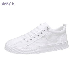 Xj[J[ Y [XAbv [Jbg JWAV[Y ₷ amC EH[LOV[Y  LoXV[Y _炩 n i RtH[g i[XV[Y X