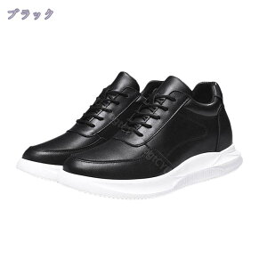 Y Xj[J[ ʋC JWAV[Y 傫TCY [Jbg EH[LOV[Y t  H ~ RtH[g XP[g{[hV[Y [XAbv j X|[c nCLOV