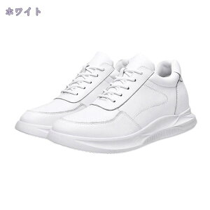 1000~OFFN[| Y Xj[J[ ʋC JWAV[Y 傫TCY [Jbg EH[LOV[Y t  H ~ RtH[g XP[g{[hV[Y [XAbv j X|[