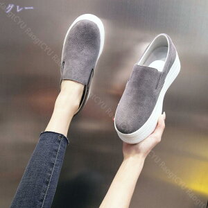 [t@[ Xb| vbgtH[ Cq[ 5cm fB[X U[ ₷ _炩 ؂ ^C y ʋC ~ JV JWAV[Y  RȂ TC
