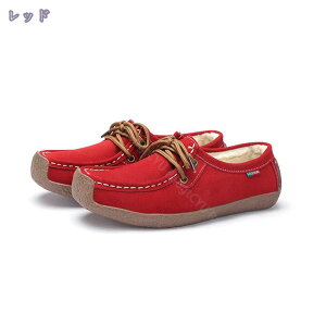 1000~OFFN[| [t@[ fB[X  EGbW\[ XG[h JV hCrOV[Y tbgV[Y C gAbv r h ʋC ₷ t  H wlC J