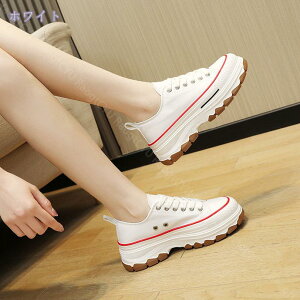 500~OFFN[| EH[LOV[Y Xj[J[  ^C fB[X Y JWA LoXV[Y t@bV AEghA n jOV[Y C [Jbg 