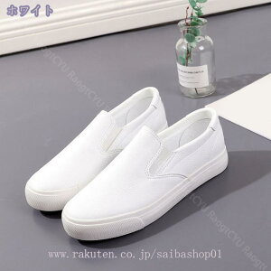 500~OFFN[| Xb| fB[X  y tbgV[Y Xj[J[ n JWA Xb| 傫TCY ʋ ʊw ^C fbLV[Y Xj[J[ [t@[ 