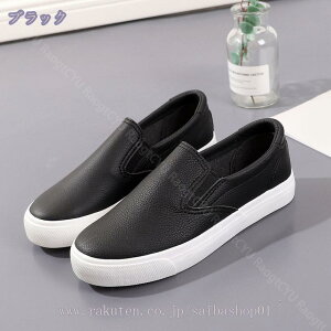 500~OFFN[| Xb| fB[X  y tbgV[Y Xj[J[ n JWA Xb| 傫TCY ʋ ʊw ^C fbLV[Y Xj[J[ [t@[ 