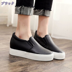 500~OFFN[| Xb| fB[X  pu U[   JWAV[Y RtH[gV[Y JWA r tbgV[Y LoX 傫TCY y U ʋ 