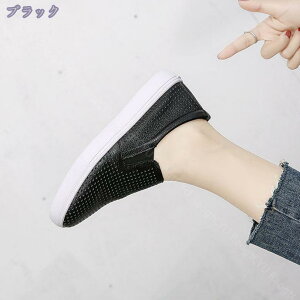 2000~OFFN[| Xb| fB[X Xj[J[ ubN y  U[ V[Y l ꂢ JWA {v [Jbg  fbLV[Y Vv RȂ 傫TCY vC 