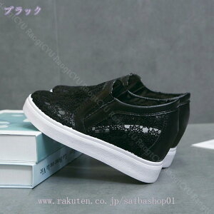 500~OFFN[| Xb| fB[X Xj[J[  ₷ bV ʋC y [JbgXj[J[ JWAV[Y 傫TCY C  [t@[ ʋ ʊw s 