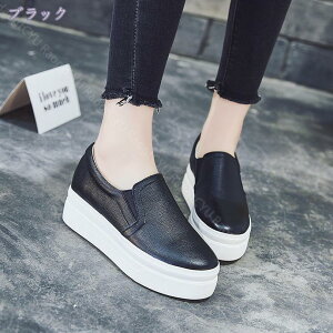 1000~OFFN[| Xb| Xj[J[ fB[X _X bX Cq[  [Jbg r 킢   ₷ C JWA V[Y 傫TCY y RȂ 