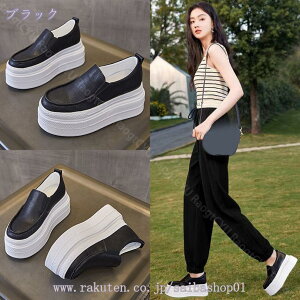 1000~OFFN[| Xb| Xj[J[ V[Y [Jbg RȂ Cq[  Ȃ ɂȂ fB[X t r ubN  ₷ EH[LO ʋ ʊw ᔽ 