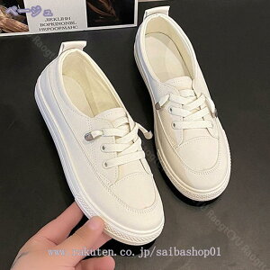 1000~OFFN[| fB[X Xb| Vv y^RC v pvX tbgV[Y _炩 JWA 傫TCY RtH[gV[Y   }}V[Y EH[LOV