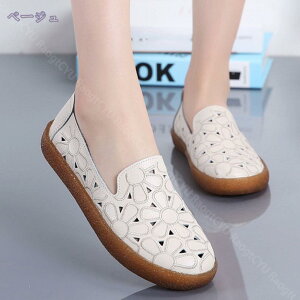 fB[X t@bV Xj[J[ NVbN Xb| tbg K EH[LO X|[c JWAV[Y ԕ [gbv JWA [t@[ l Vv ~ 