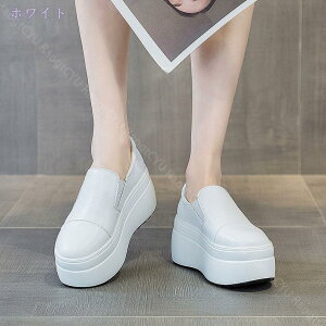 1000~OFFN[| U[ Xb|V[Y C Xj[J[  Cq[ EH[LO Xj[J[ fB[X C Xj[J[ ₷ ₷ wlC p  y J