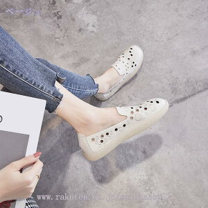 fB[X Xb| JV tbgV[Y [Jbg v [t@[  bV y ʋC  x[W JWA fbLV[Y 傫TCY  22.5cm _炩 ɂ