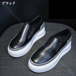  Xb| fB[X [t@[ g C JWAV[Y  ʊw y ʋC ubN [JbgXj[J[ TCY  EhgD tbg 23.0cm V[Y