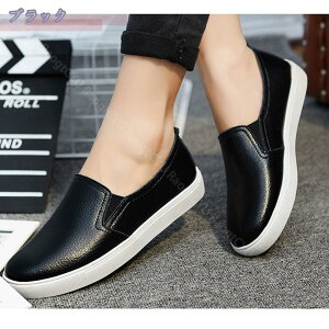 500~OFFN[| Xj[J[ Xb| fB[X  X[X Xj[J[   RȂ  傫TCY [Jbg  ɂȂ ₷  TChSA [t@[ v