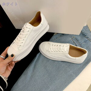 Xj[J[ Xb|V[Y U[ v TChSA   RtH[g  Xj[J[ C JWA [Jbg y ₷ IV tbg NbV  