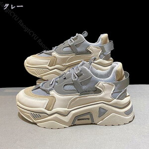  [XAbvV[Y Xj[J[ x[W ʋΌC X{[cXj[J[ fB[X EH[LOV[Y NbVt 24.0cm ʊwC jOV[Y ʋC _炩 Xb|