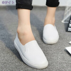 500~OFFN[|  Xb| fB[X Xj[J[ Cq[ r   ₷ [t@[ EhgD [Jbg JWA y ʋC ~ V[Y 傫TCY 