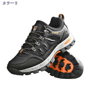 1000~OFFN[| jZbNX oRC AEghA  ҂ݏグu[c [Nu[c Y fB[X y 傫TCY H~ v [XAbv nCLO NC~OV[Y 