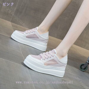 3500~OFFN[| LoX LoXV[Y Xj[J[ TCY V[Y Xb| ƂȂ [XAbv fB[X r t ʋC bV 8cmq[ T{T_ 