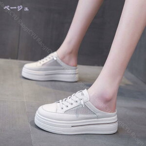 Xb| fB[X  ƂȂ 傫TCY Xj[J[ Cq[ ₷ r  ʊw v[g h ^C EH[LOV[Y ~[ T_  AEg