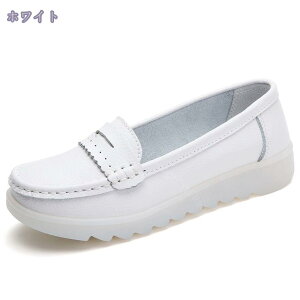 760~OFFN[| fB[X fC[V[Y Vv ₷ Ȃ ɂ g ᔽ  RȂ [Jbg [t@[ ~ZXt@bV s Ԏd 22.0cm A