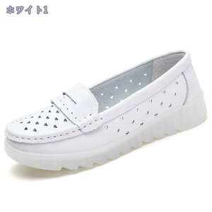 1600~OFFN[| fB[X fC[V[Y Vv ₷ Ȃ ɂ g ᔽ  RȂ [Jbg [t@[ ~ZXt@bV s Ԏd 22.0cm A