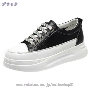 LL rW[ TCY  Xj[J[ Xb| fB[X [Jbg EhgD s d ʊw vbgtH[ V[NbgV[Y ʋΗp d   