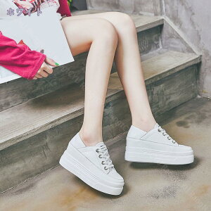 1000~OFFN[| Xj[J[ fB[X Cq[ [XAbv ʋC 5.5CM v Xb| gup EhgD JWA  IV ₷ Ȃ C Cq[Xj