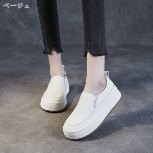 2000~OFFN[| tbgV[Y y^R  fB[X Xb| TChSA IV 킢 JWAV[Y n ₷ ̎q l C C V[Y [Jbg 