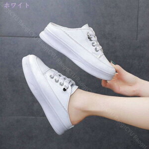 500~OFFN[| t  ƂȂ Xj[J[  fB[X Xb| ƖV[ Y Xbp LL T{T_ C r  Xbp JWA y ʋC E