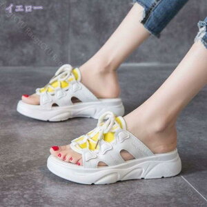 1600~OFFN[| Xj[J[ fB[X  [Jbg ~[T_ RtH[gV[Y JWAV[Y y ₷  ~  ~[ ƂȂ ʋC 