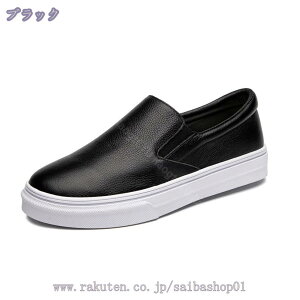 Xb| Xj[J[ fB[X    傫TCY  TChSA JWA [Jbg tbg t ᔽ n [t@[ s y y EH[LOV[Y 