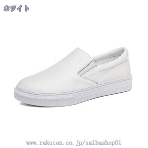 1000~OFFN[| Xb| Xj[J[ fB[X    傫TCY  TChSA JWA [Jbg tbg t ᔽ n [t@[ s y y EH[L