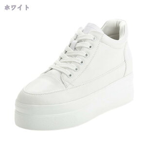 1600~OFFN[| Xj[J[ fB[X [XAbv Vv Xb| JV i[XV[Y fbLV[Y y EHLOV[Y ƌC TCY 7.5cm JWA ^C 