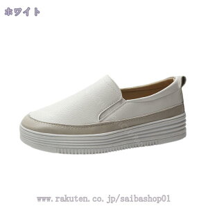 760~OFFN[| Xj[J[ fB[X Xj[J[  Xb|V[Y Xb| V[Y ꃍ[t@[ vbgtH[ fB[XV[Y  JWA 