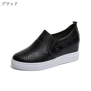 777~OFFN[| Xb| Xj[J[ fB[X 6cmgUP  40   傫TCY   JWA Xb| RȂ fbLV[Y JV 傫TCY  