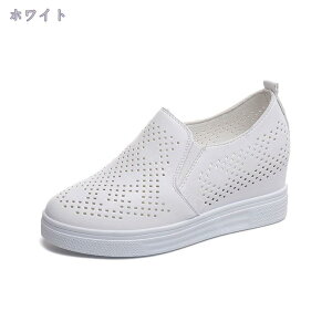 777~OFFN[| Xb| Xj[J[ fB[X 6cmgUP  40   傫TCY   JWA Xb| RȂ fbLV[Y JV 傫TCY  